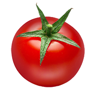tomato-3