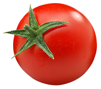 tomato-4